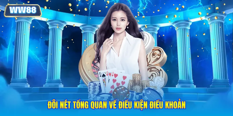 Đôi nét tổng quan về điều kiện điều khoản