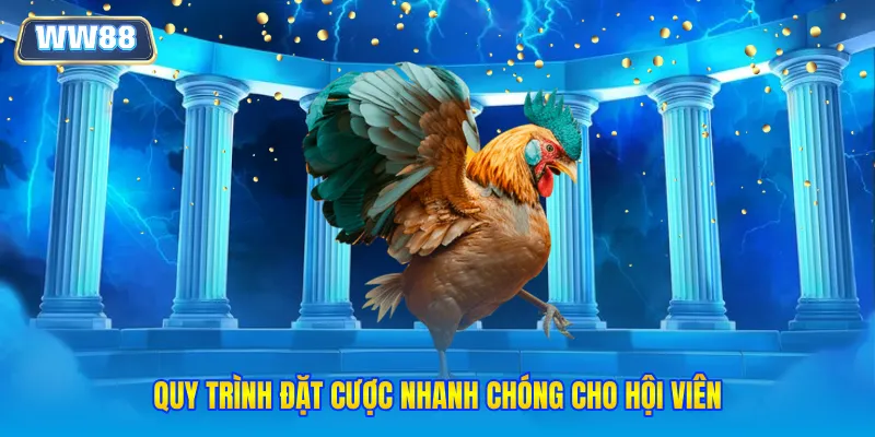 Quy trình đặt cược nhanh chóng cho hội viên